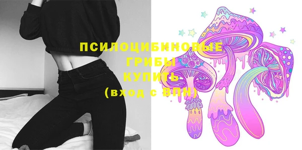 spice Кодинск