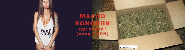 крисы Козловка