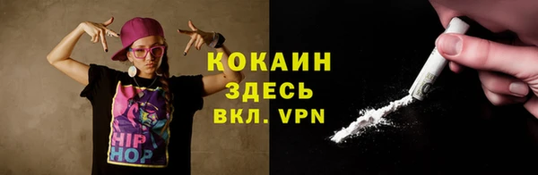 крисы Козловка
