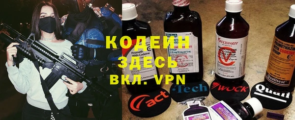 крисы Козловка