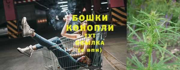 крисы Козловка