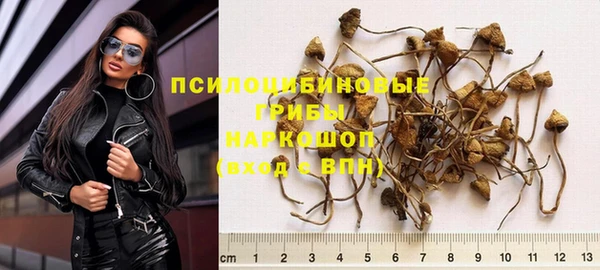крисы Козловка